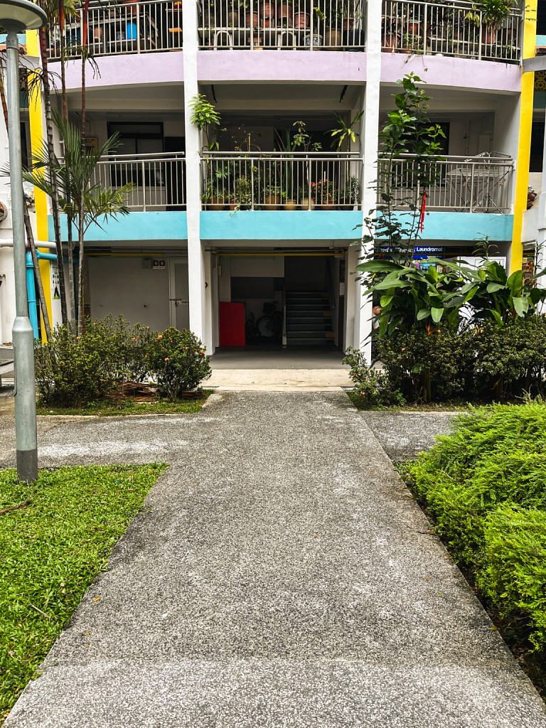 This is the Everton Park HDB next to the conservation houses. As you can see, the HDB blocks here aren’t the most modern but they have a charm of their own.