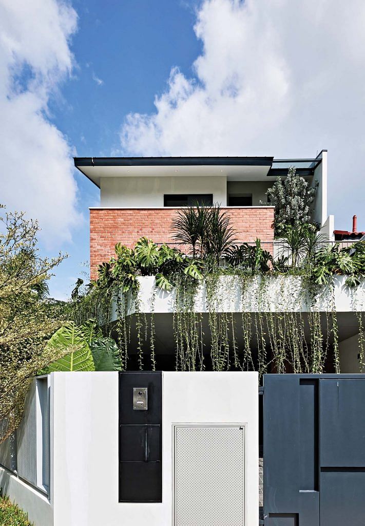 Vines that drape down from the second storey outdoor terrace form a veil that screens the spaces below from the sun and softens the hard edges of the exterior of this corner terrace house in Bukit Timah.