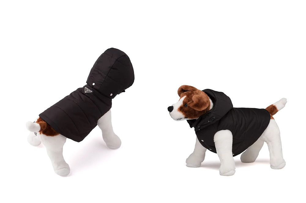 prada-dog-raincoat-harness