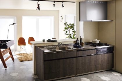Stainless steel home design kitchen