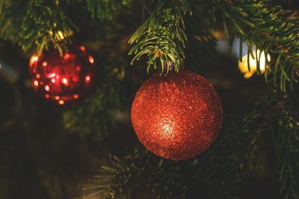 Buying A Real Christmas Tree: 9 Things To Consider While Shopping (Photo Pexels Lumn)