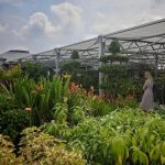 The Far East Flora Centre sells 1,000 types of flowers and more than 500 plants, a suite of gardening products and home decor items.
