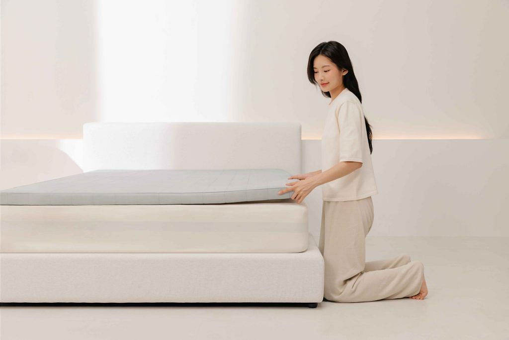 South Korean Mongze Deep Sleep mattress is priced at $799 (Queen) on Daily & Co