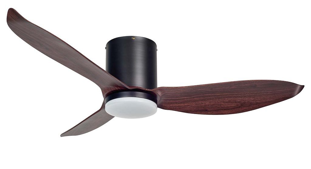 dark brown and black fan with light